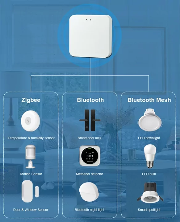 Inteligentna bramka BLOW + Bluetooth Zigbee 3.0
