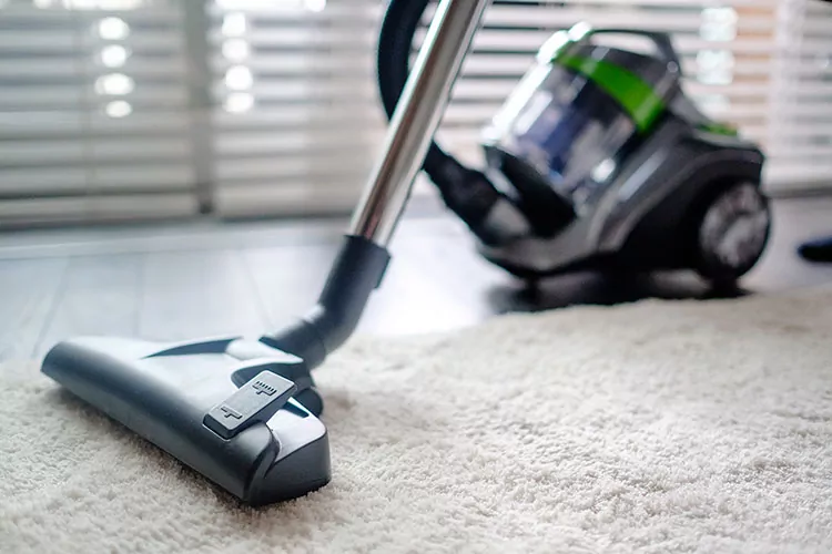 Odkurzacz bezworkowy + ssawka szczelinowa TEESA VACUUM GREEN + ssawka okrągła + dwustopniowa ssawka podłogowa